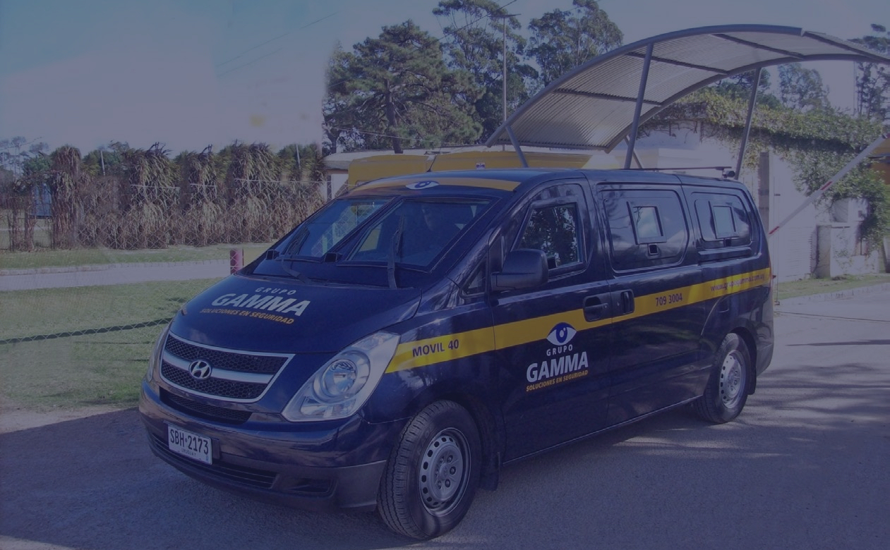 En GRUPO GAMMA brindamos servicios de custodia