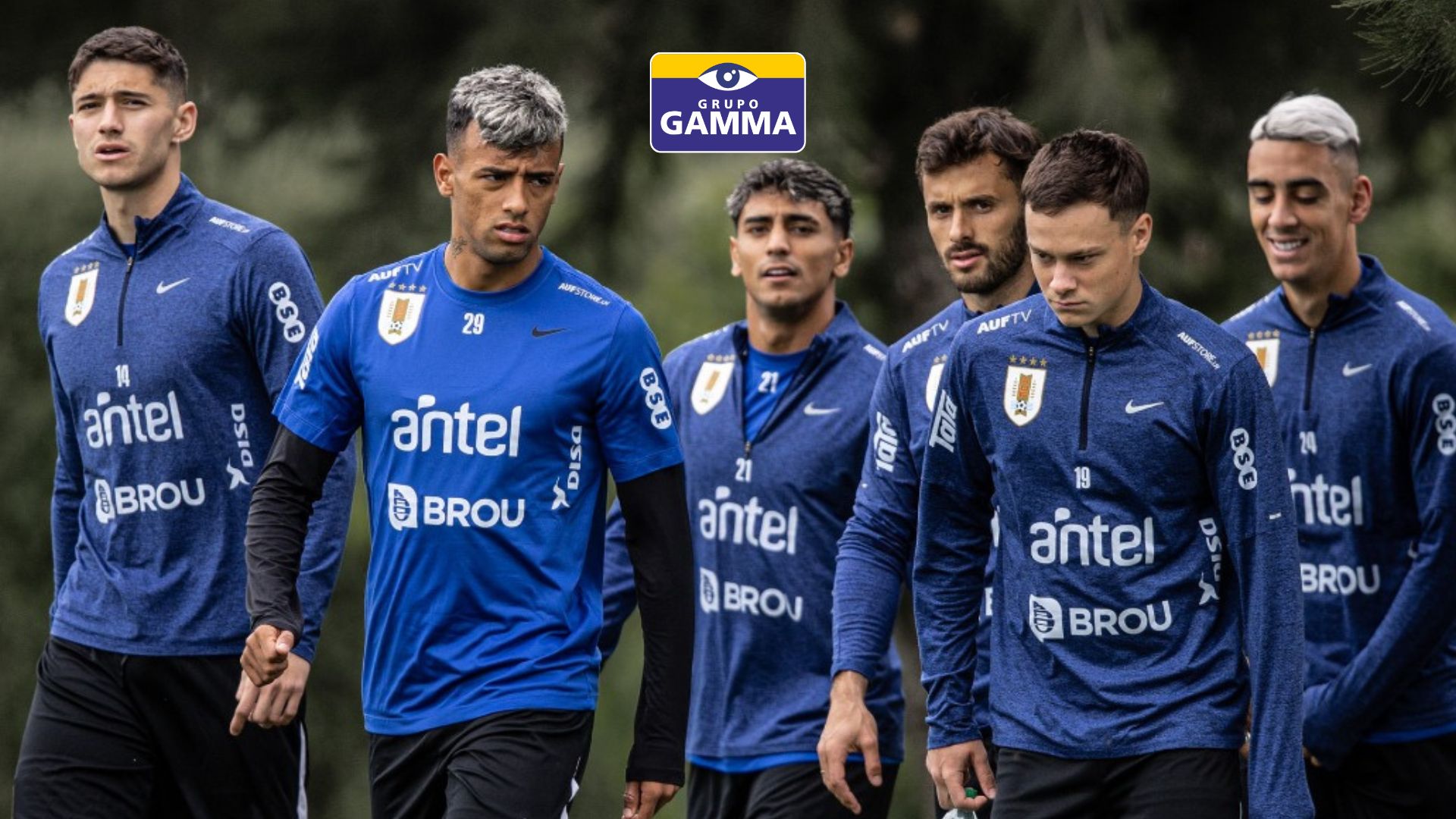GRUPO GAMMA: Alentando a la Celeste en el Camino a la Copa del Mundo